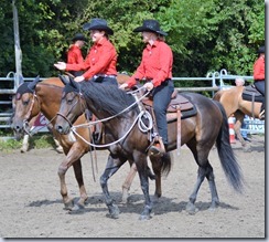 DSC_0230 (2)